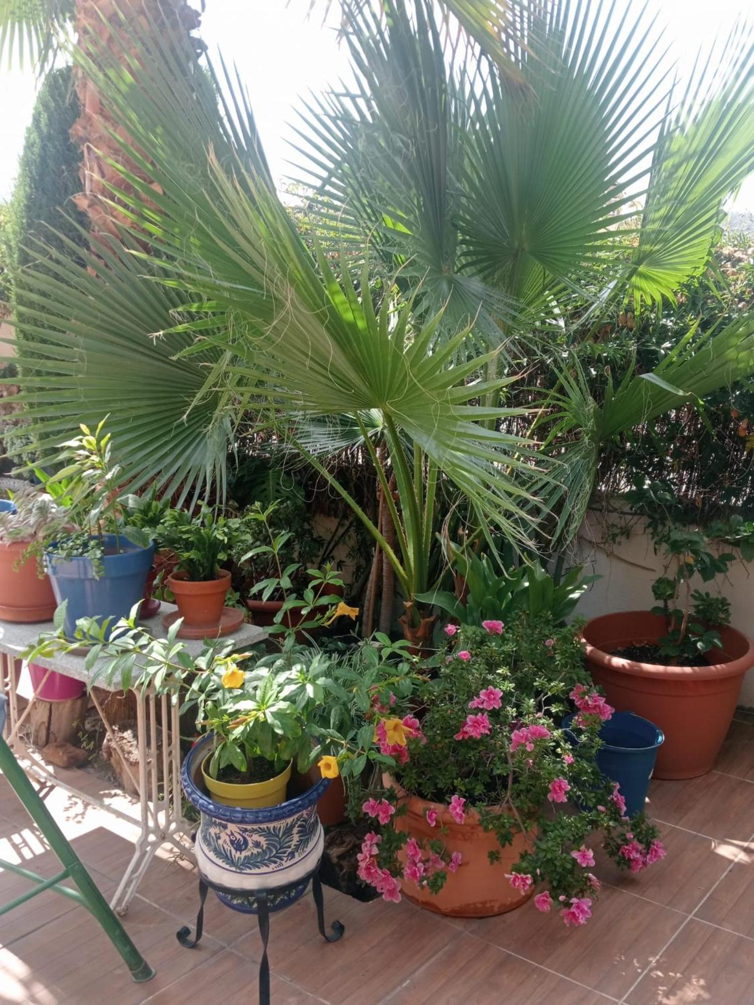 La Cabana Nevada Cenes de la Vega Kültér fotó
